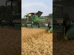 JOHN DEERE S7 800 Combine Harvesting Wheat #bigtactorpower