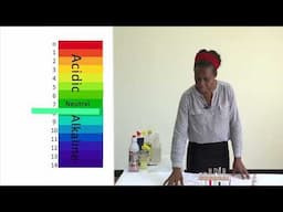 Science Classifying Household Substances as Acids or Alkalis Gr9