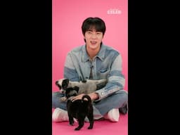 give 👏 us👏 cowboy 👏 jin 🤠
