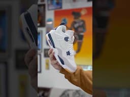 HOW THE NIKE SB JORDAN 4 SNEAKERS ARE EVEN BETTER!