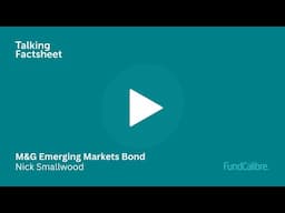 How M&G Emerging Markets Bond fits into your portfolio