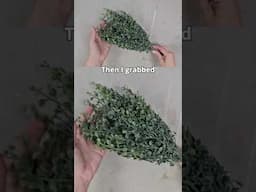 Cute vintage spring carrot idea for your home decor #thriftedandstyled #diy