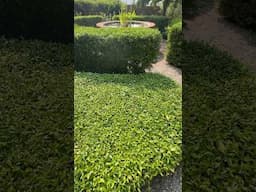 18th Century Garden. Wilmington, NC