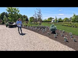 Planting the New for 2026 Powerball Hydrangeas, Annuals & the Foxglove We Started From Seed! 🙌🌿😍