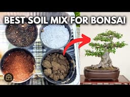 The BEST Soil Mix for Growing Bonsai FAST!