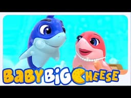 Baby Shark Song - Nursery Rhymes & Preschool Videos by Baby Big Cheese