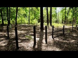 Orleans Ghost Town Cemetery in Withlacoochee State Forest