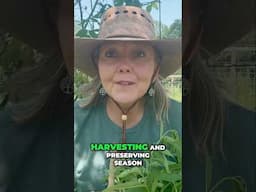 It’s Herb Harvesting Season! #herbs #herbgardening #gardening