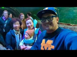 Jordan's 1st visit to Sea Life - Sydney Aquarium (8/7/23)
