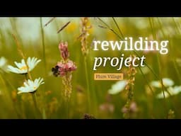 The Plum Village Rewilding Project