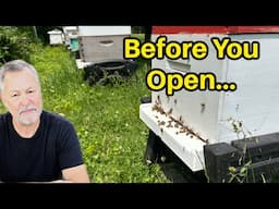 Beekeeping: What Your Hive Tells You Before You Open The Top