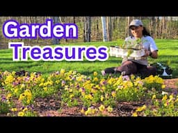 Let's HUNT For GARDEN Treasures | FREE Plants In My Own Yard!  || Budget Gardening