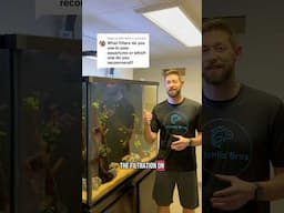 How Do I Filter the Big Tall Aquarium?