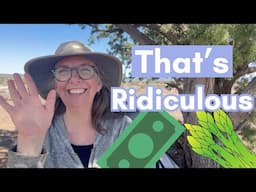 Learn English with a True Story | That's Outrageous