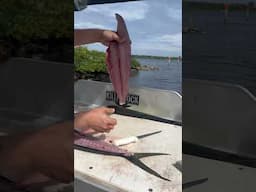 Cutting Schoolies on the @KillerDock with my @DexterOutdoors 7inch 🤙