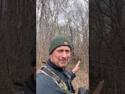 Wow, What a #woodpecker #woodpeckersaroundtheworld #natureshorts #naturevideos #wildlifephotography