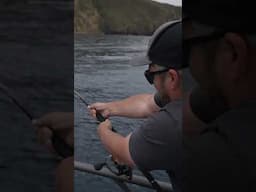 This Kingfish just about pulled me over board.
