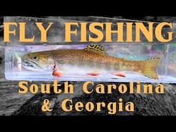 Fly fishing South Carolina & Georgia | beautiful blue lines of the Blue Ridge
