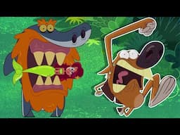 Zig und Sharko | NEUE STAFFEL 4  - Der neue Hai | Volledige aflevering in HD