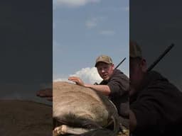 Hunt Gemsbuck/Oryx with RW Safaris International  #hunting #huntingvideo #africahunting