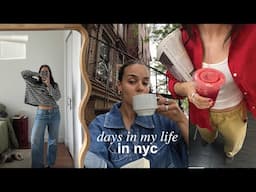 may in nyc