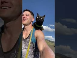 Summer is always better with my cat #bikeride #summervibe #lifeisbutadream