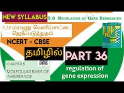 class 12 bio ncert line by line | molecular basis  (part 36)| regulation of gene expression | மரபணு