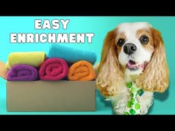 Easy DIY Dog Enrichment Game | Fun Nose Work for Seniors & All Dogs!