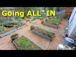 Peppers and Tomatoes Planted   I have gone ALL IN on my Spring Garden