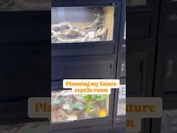 Planning My Future Reptile Room... Thoughts?