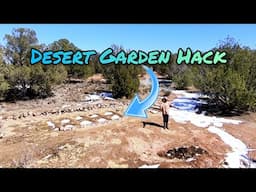 Growing Green In The Desert Just Got EASIER