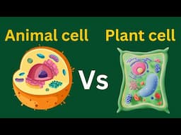 Animal cell Vs Plant cell | Difference between animal and plant cell | cell biology