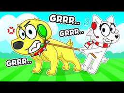 DO NOT PET THIS DOG!