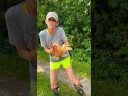😁 Boots on the Ground 🐔 #shorts #bootsontheground #bantam #barndance #homestead 🧡