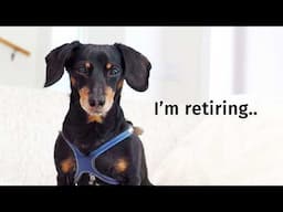 Ep 73: Crusoe is RETIRING — (and what it means going forward)