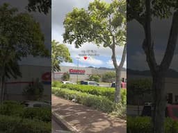 #costco #costcofinds #shopwithme #costcobuys #costcodeals #costcomusthaves #fyp
