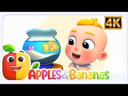 Orange, My Favorite Color Educational Animation for Toddlers