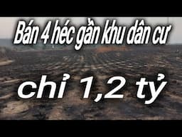 bán 4 héc siêu đẹp sổ sách đầy đủ,trồng fun mía, giá rẻ bất ngờ 0395507506