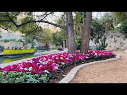 Beautiful Riverwalk in San Antonio, Texas USA | Cali Que Em