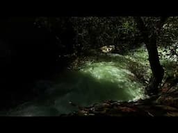 LCC_Spring_2025 | 60fps Slo-Mo