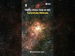 Inside the Tarantula Nebula: Stunning Space Views! #shorts #nebula #spaceexploration