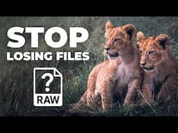 NEVER LOSE A Safari Photo Again – My Simple System That Works