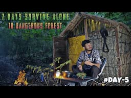 7 DAYS Solo Survival Camping in Rainy Forest. Catch and Cook, Fishing. Camping and Bushcraft EP.5