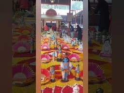ഉളനാട്ടിൽ ഉണ്ണിക്കണ്ണന്റെ വിഷു കാഴ്ച #shorts #shortsfeed #lordkrishna
