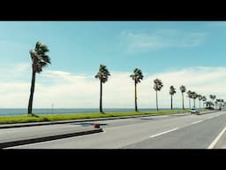 Chibafornia | Japan Vlog