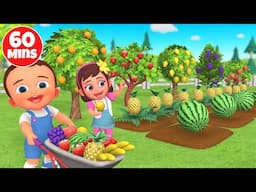 Learn Fruits, Colors, Shapes, Numbers & More! 60 Min Educational Video for Babies and Kids Toddlers