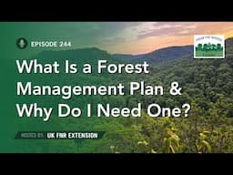 What is a Forest Management Plan and Why Do You Need One - From the Woods Today - Episode 244