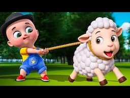 Baa Baa White Sheep Song ( Animal Farm Song ) Baby Cartoon and Kids Songs | Baby Bobo