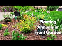 Planting Annual Flowers in Front Porch Garden 🌿 That Will Keep Rabbits Away 🌸🍃 🐰
