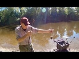 Are these the hardest fighting Fish in the UK?!